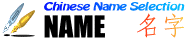 Chinese Name Analysis